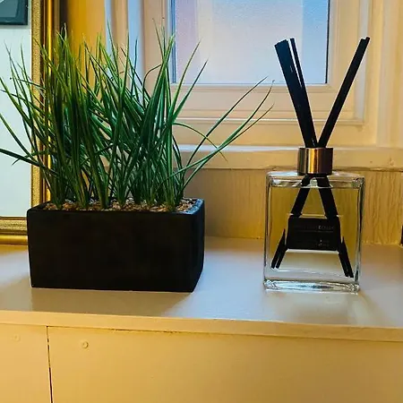 Apartment 1 Bedroom Spacious