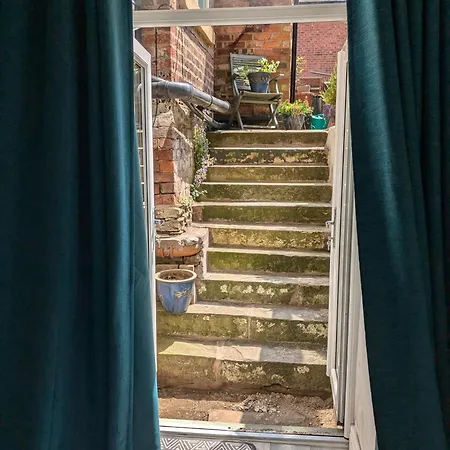 The Basement